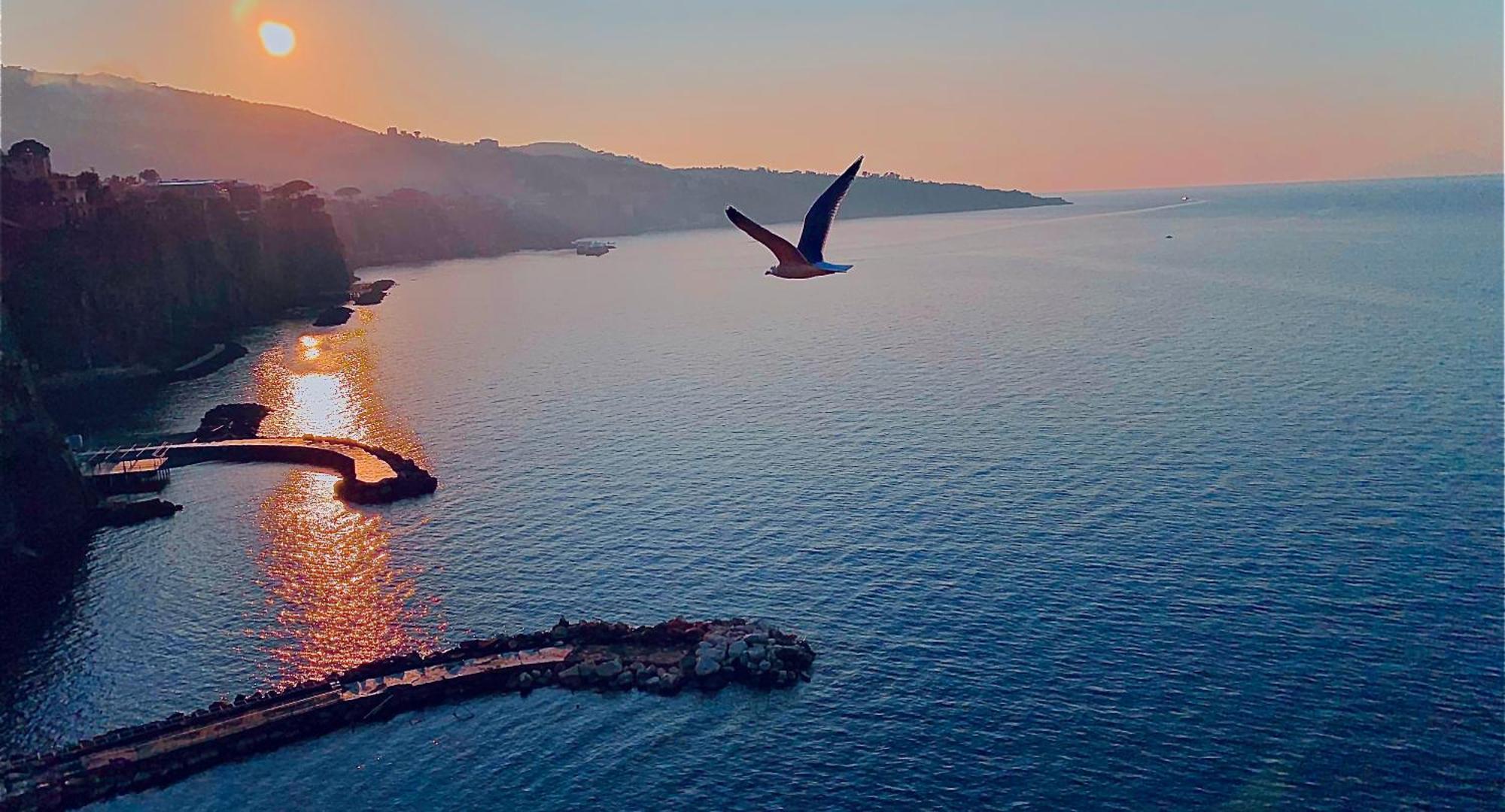 Treehouse Sorrento Apartment Εξωτερικό φωτογραφία